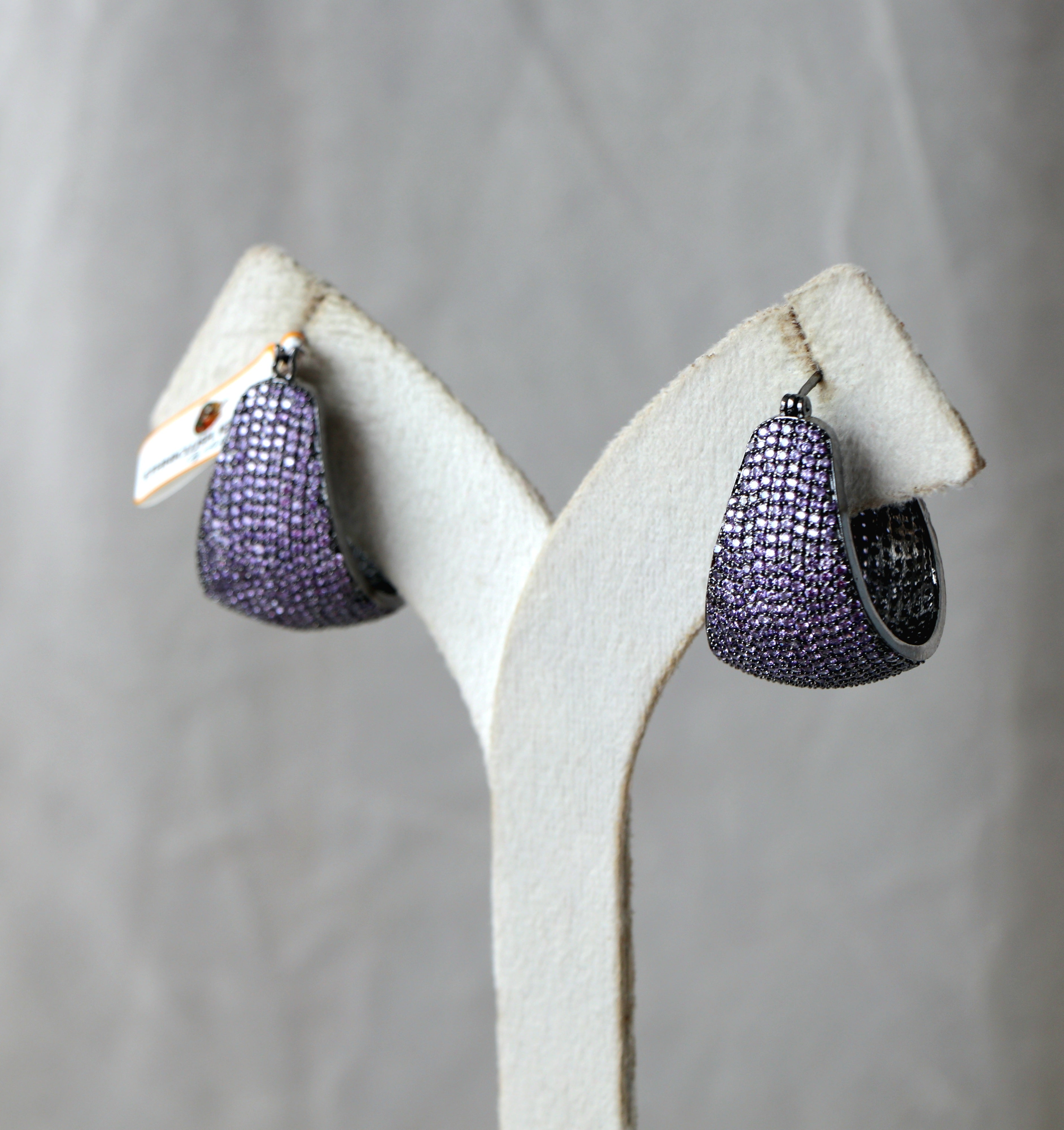 Radiance Hoop Earrings