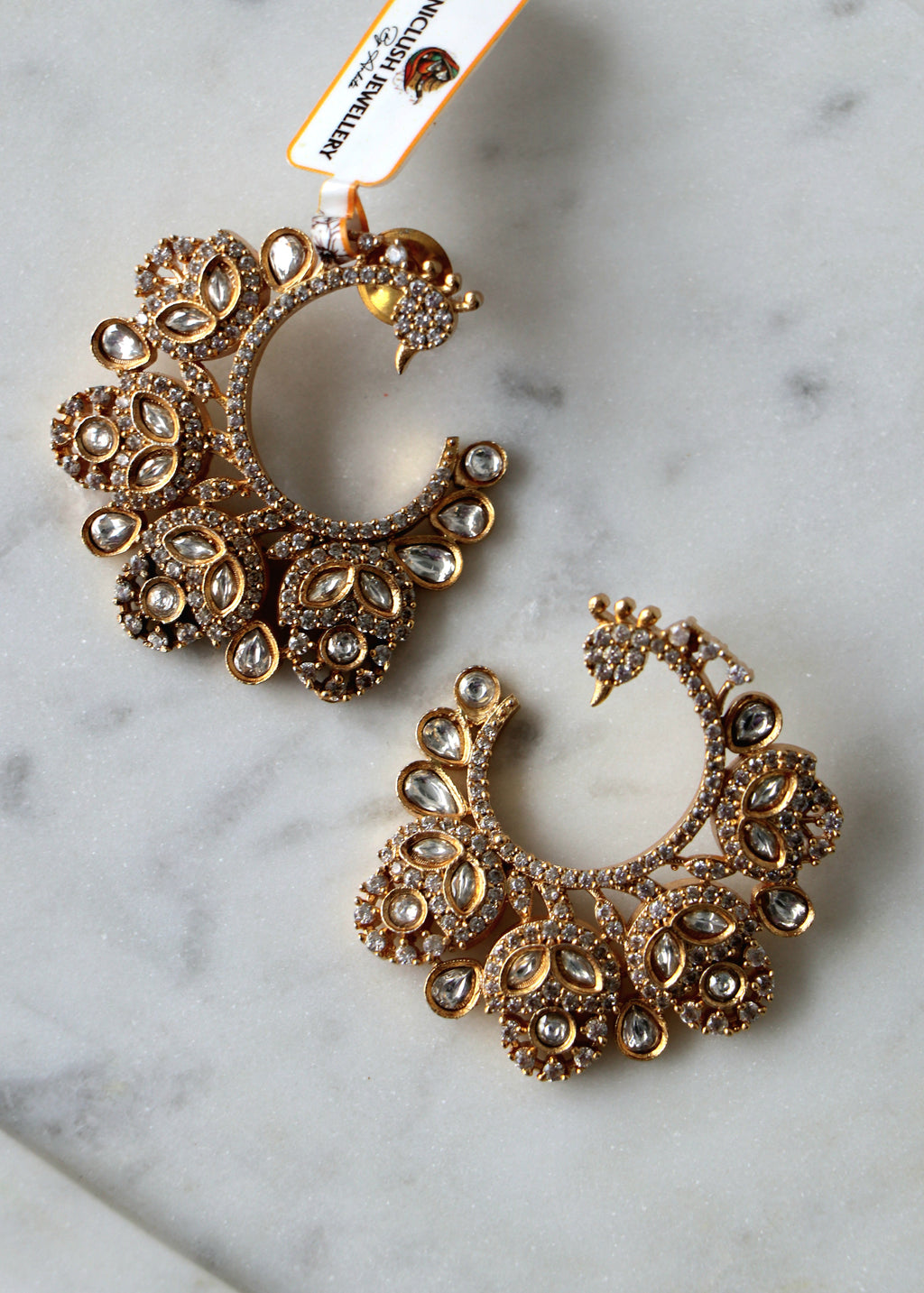Peacock Radiance Hoop Earrings