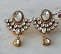 Regal Crystal Cascade Earrings